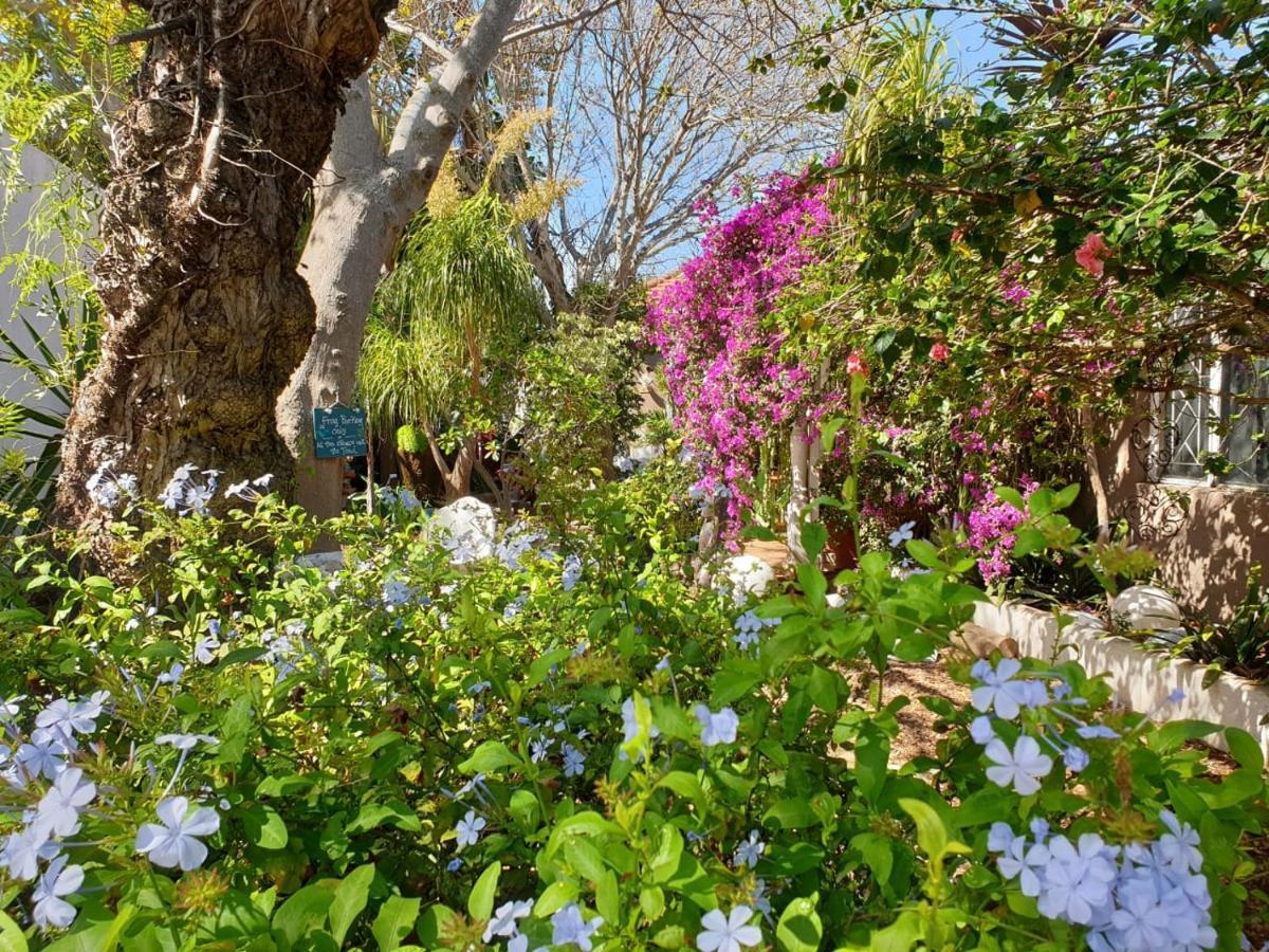 Guest House Frame Ace Bellville Εξωτερικό φωτογραφία